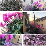 Bed & Breakfast Veronantica