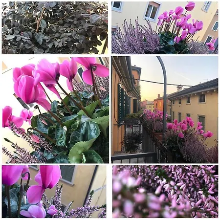 Alojamento de Acomodação e Pequeno-almoço Veronantica